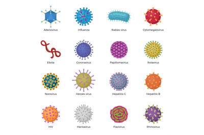 Viruses illustrations. Microb bacillus ebola microorganism pictogram p