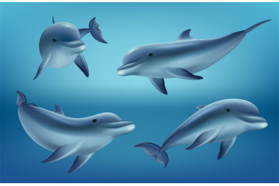 Dolphins realistic. Ocean or marine animals swim fishes with flippers