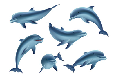 Swim dolphins. Aquarium or ocean underwater marine animals big funny a