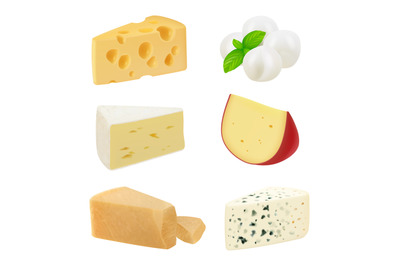 Realistic cheese. Pieces of delicious gourmet food variety mozzarella