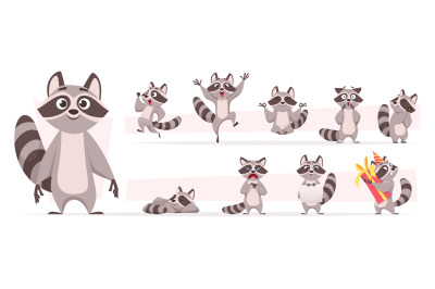 Raccoon animal. Wild mammal cute smile playing and jumping in various