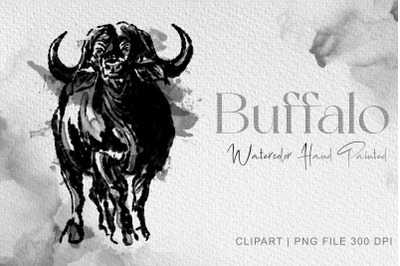 Buffalo clipart