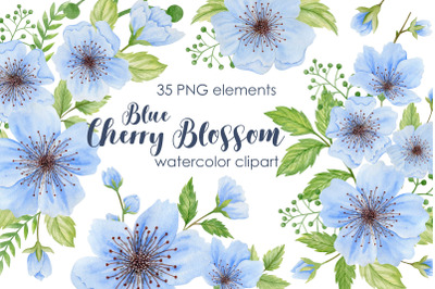 Watercolor Blue Cherry Blossom Clipart.