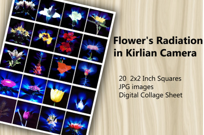 Digital Collage Sheet - Kirlian Flower Radiation