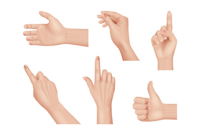 Hands gestures. Realistic human hands anatomy body parts palm and fing