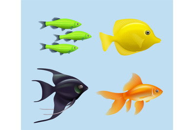 Exotic fishes. Realistic underwater life aquarium drawing colored fish