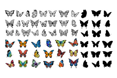 Butterfly collection. Drawing butterflies&2C; silhouette and color flying