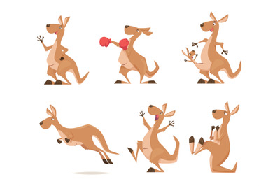 Kangaroo. Tropical wild animal kangaroo from australia exact vector ca