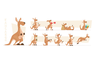 Kangaroo characters. Wildlife australian animals standing and jumping