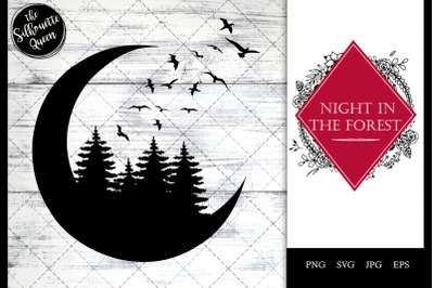 Night in the Forest - Moon, Trees and Birds flying