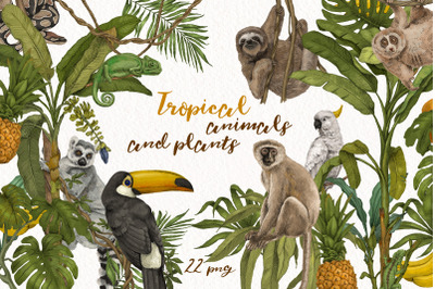 Tropical jungle animals&2C; plants set