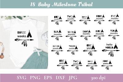 Baby Milestones SVG Bundle. Monthly Milestones Bundle