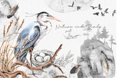 Watercolor Nature and Birds set