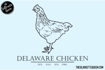 Delaware Chicken Vector