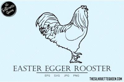 Easter Egger Rooster Vector