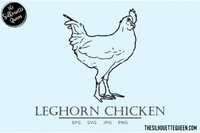 Leghorn Chicken Vector