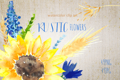 Rustic sunflowers Watercolor clipart