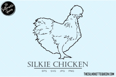 Silkie Chicken Vector