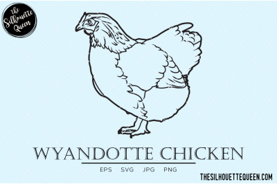 Wyandotte Chicken Vector