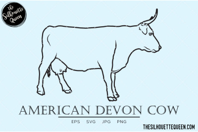 American Devon Cow Vector