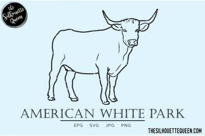 American White Park Vector