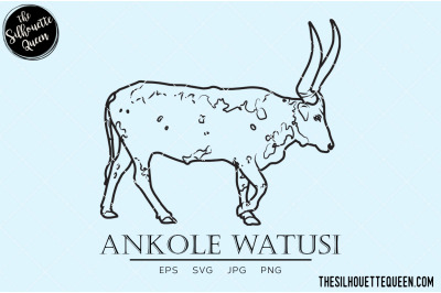 Ankole Watusi  Vector