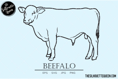 Beefalo Vector