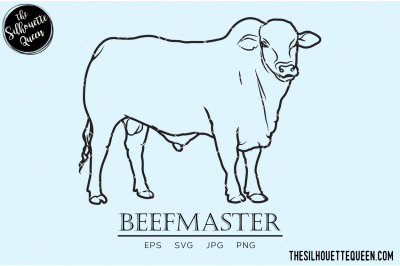 Beefmaster Vector