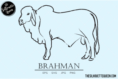 Brahman Vector