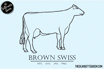 Brown Swiss Vector