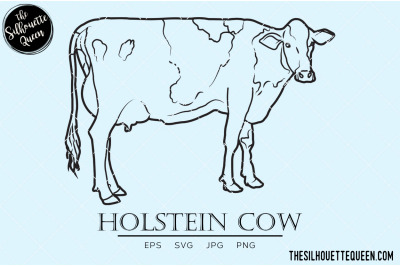 Holstein Cow Vector