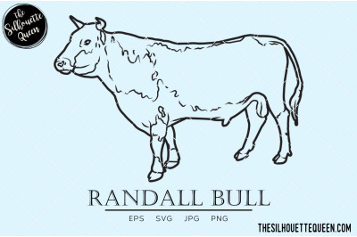 Randall Bull Vector