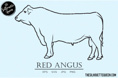 Red Angus Vector
