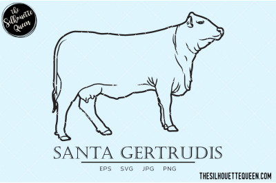 Santa Gertrudis Vector