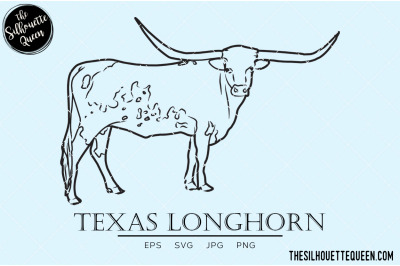 Texas Longhorn Vector