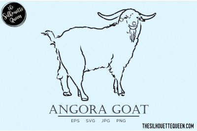 Angora Goat Vector