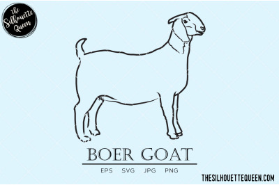 Boer Goat Vector