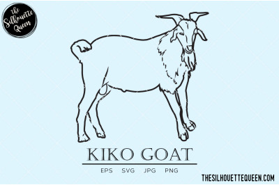 Kiko Goat Vector