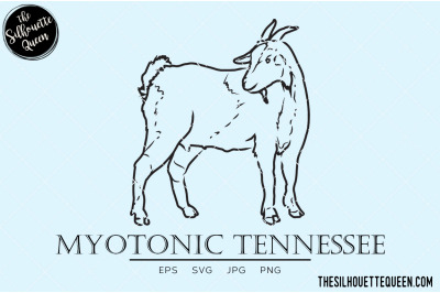 Myotonic Tennessee Vector