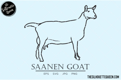 Saanen Goat Vector