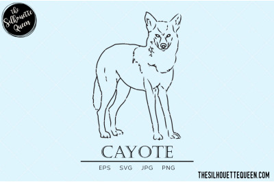 Cayote Vector