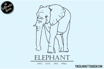 Elephant Vector