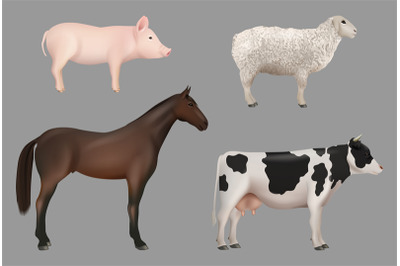 Farm animals. Domestic cow with milk pig horse sheep decent vector rea