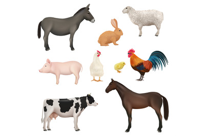 Domestic animals. Farm birds chickens active animal rabbit horse sheep