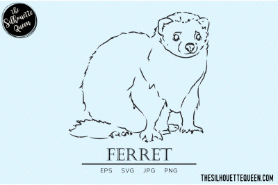 Ferret Vector