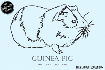 Guinea Pig Vector