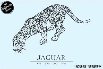 Jaguar Vector