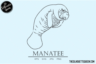 Manatee Vector