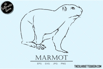 Marmot Vector