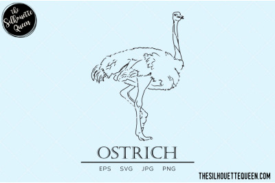 Ostrich Vector